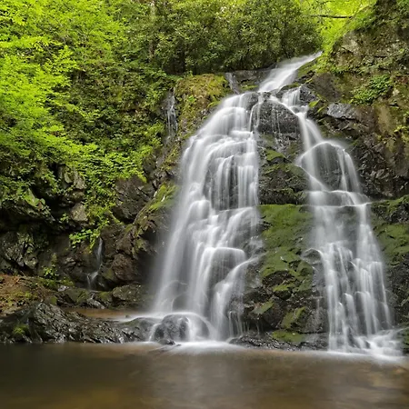 Apple Valley Hideaway, 1089 Of Free Attraction Tickets For Each Paid Day, Dollywood And More!-3